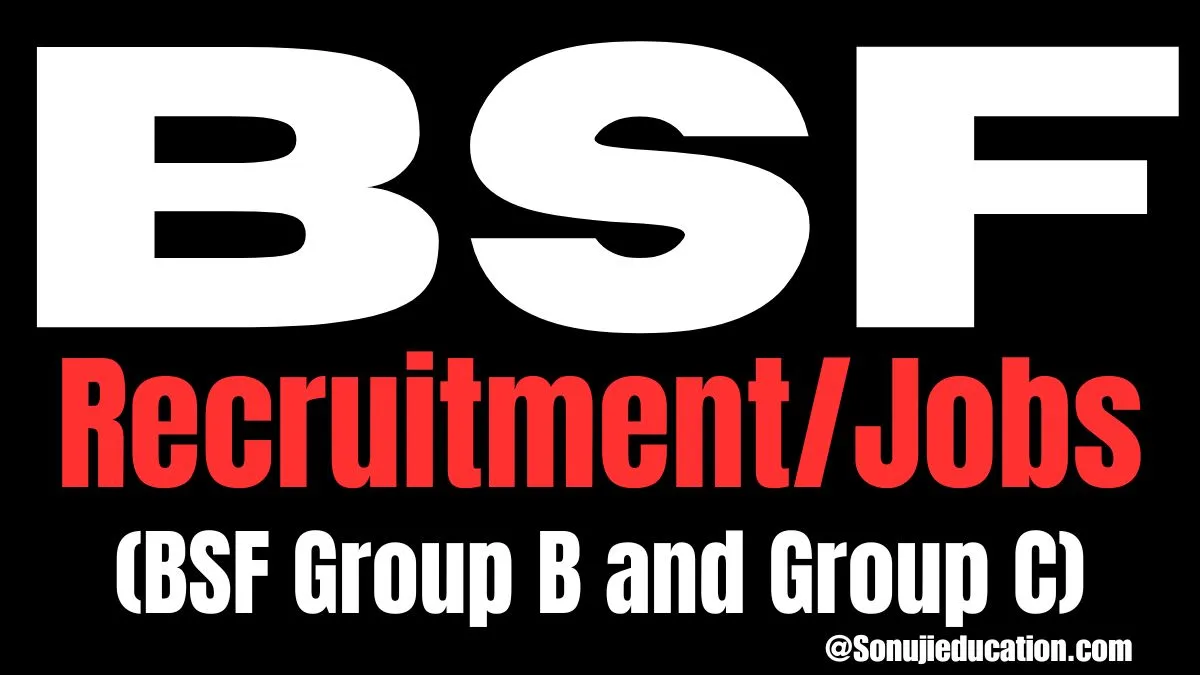 BSF Group B and Group C Online Form 2024